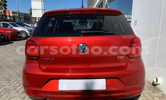 Buy Used Volkswagen Polo Red Car in Maseru in Maseru Buy Used Volkswagen Polo Red Car in Maseru in Maseru