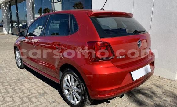 Buy Used Volkswagen Polo Red Car in Maseru in Maseru Buy Used Volkswagen Polo Red Car in Maseru in Maseru