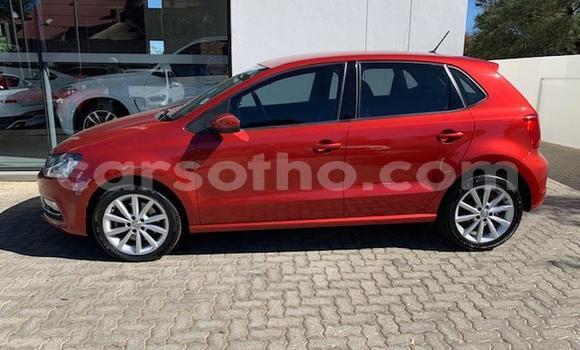 Buy Used Volkswagen Polo Red Car in Maseru in Maseru Buy Used Volkswagen Polo Red Car in Maseru in Maseru