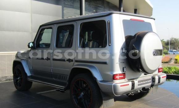 Buy Used Mercedes-Benz G-klasse Silver Car in Maseru in Maseru Buy Used Mercedes-Benz G-klasse Silver Car in Maseru in Maseru