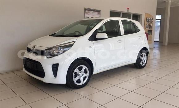 Acheter Occasion Voiture Kia Picanto Blanc à Maseru, Maseru Acheter Occasion Voiture Kia Picanto Blanc à Maseru, Maseru