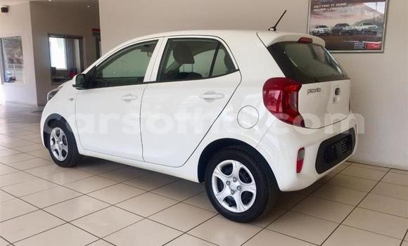 Acheter Occasion Voiture Kia Picanto Blanc à Maseru, Maseru Acheter Occasion Voiture Kia Picanto Blanc à Maseru, Maseru