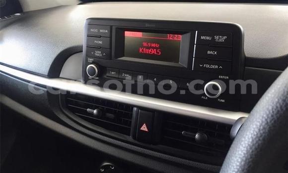 Acheter Occasion Voiture Kia Picanto Blanc à Maseru, Maseru Acheter Occasion Voiture Kia Picanto Blanc à Maseru, Maseru