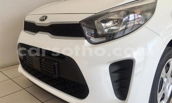 Acheter Occasion Voiture Kia Picanto Blanc à Maseru, Maseru Acheter Occasion Voiture Kia Picanto Blanc à Maseru, Maseru