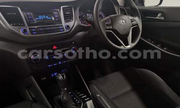 Sayi Na hannu Hyundai Tucson Blue Mota in Maseru a Maseru Sayi Na hannu Hyundai Tucson Blue Mota in Maseru a Maseru