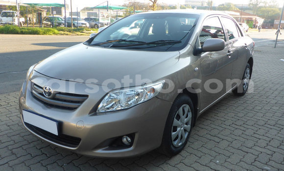 Buy Used Toyota Corolla Silver Car in Maseru in Maseru Buy Used Toyota Corolla Silver Car in Maseru in Maseru