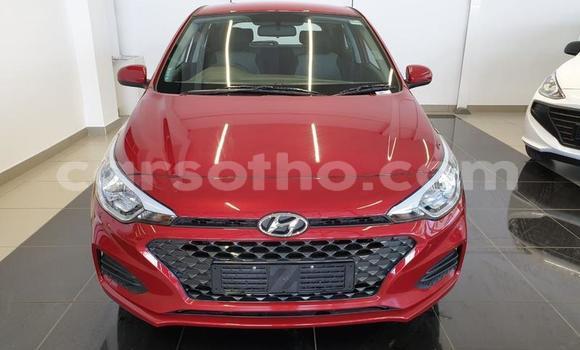 اشتري مستعمل Hyundai i20 Red سيارة في Maseru في Maseru اشتري مستعمل Hyundai i20 Red سيارة في Maseru في Maseru