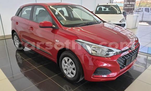 اشتري مستعمل Hyundai i20 Red سيارة في Maseru في Maseru اشتري مستعمل Hyundai i20 Red سيارة في Maseru في Maseru