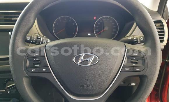 اشتري مستعمل Hyundai i20 Red سيارة في Maseru في Maseru اشتري مستعمل Hyundai i20 Red سيارة في Maseru في Maseru