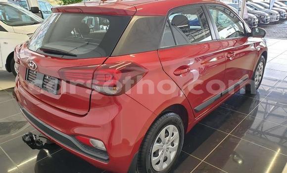 اشتري مستعمل Hyundai i20 Red سيارة في Maseru في Maseru اشتري مستعمل Hyundai i20 Red سيارة في Maseru في Maseru