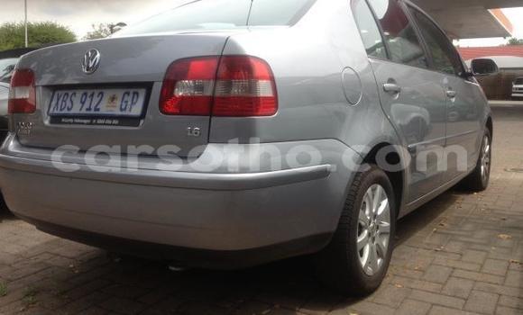 Acheter Occasion Voiture Volkswagen Polo Gris à Butha–Buthe, Thaba-Tseka Acheter Occasion Voiture Volkswagen Polo Gris à Butha–Buthe, Thaba-Tseka
