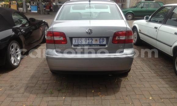 Acheter Occasion Voiture Volkswagen Polo Gris à Butha–Buthe, Thaba-Tseka Acheter Occasion Voiture Volkswagen Polo Gris à Butha–Buthe, Thaba-Tseka