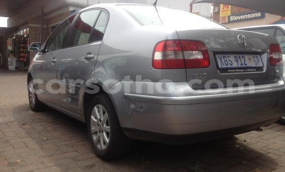 Acheter Occasion Voiture Volkswagen Polo Gris à Butha–Buthe, Thaba-Tseka Acheter Occasion Voiture Volkswagen Polo Gris à Butha–Buthe, Thaba-Tseka