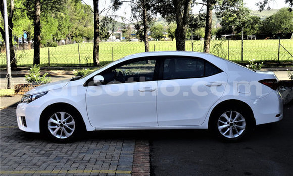 Buy Used Toyota Corolla White Car in Hlotse in Leribe Buy Used Toyota Corolla White Car in Hlotse in Leribe