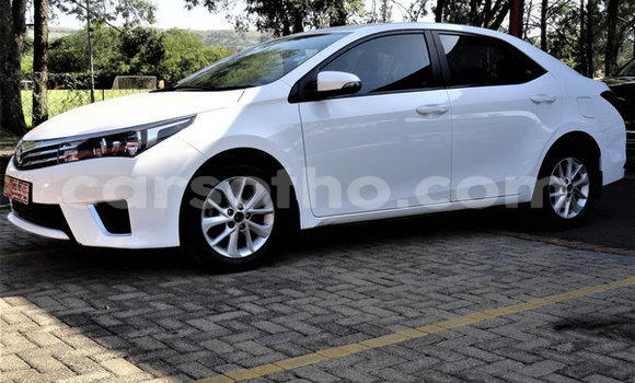 Buy Used Toyota Corolla White Car in Hlotse in Leribe Buy Used Toyota Corolla White Car in Hlotse in Leribe