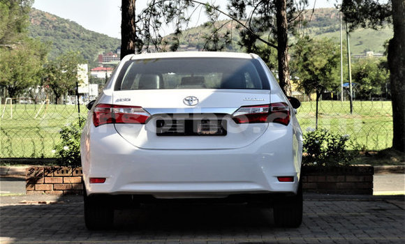 Buy Used Toyota Corolla White Car in Hlotse in Leribe Buy Used Toyota Corolla White Car in Hlotse in Leribe