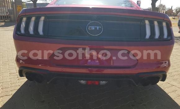 اشتري مستعمل Ford Mustang Red سيارة في Maseru في Maseru اشتري مستعمل Ford Mustang Red سيارة في Maseru في Maseru