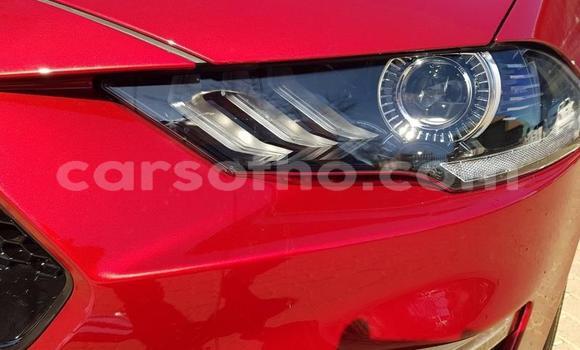اشتري مستعمل Ford Mustang Red سيارة في Maseru في Maseru اشتري مستعمل Ford Mustang Red سيارة في Maseru في Maseru