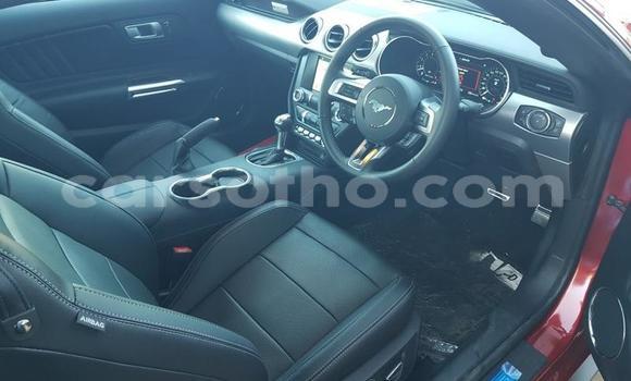 اشتري مستعمل Ford Mustang Red سيارة في Maseru في Maseru اشتري مستعمل Ford Mustang Red سيارة في Maseru في Maseru