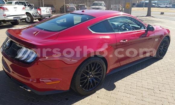 اشتري مستعمل Ford Mustang Red سيارة في Maseru في Maseru اشتري مستعمل Ford Mustang Red سيارة في Maseru في Maseru