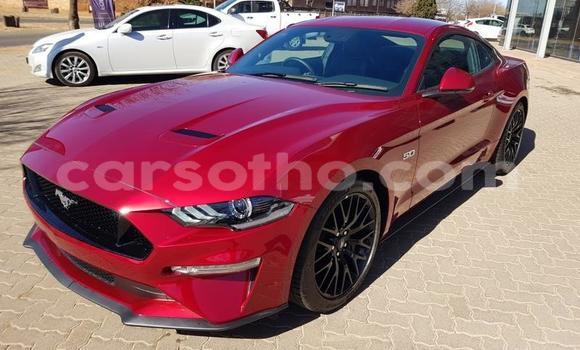 اشتري مستعمل Ford Mustang Red سيارة في Maseru في Maseru اشتري مستعمل Ford Mustang Red سيارة في Maseru في Maseru