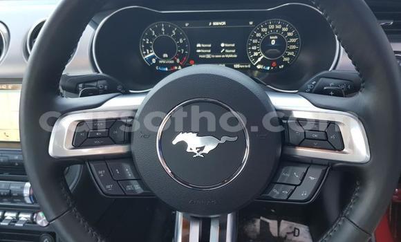 اشتري مستعمل Ford Mustang Red سيارة في Maseru في Maseru اشتري مستعمل Ford Mustang Red سيارة في Maseru في Maseru
