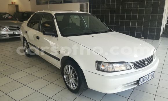 اشتري مستعمل Toyota Corolla White سيارة في Butha Buthe في Butha-Buthe اشتري مستعمل Toyota Corolla White سيارة في Butha Buthe في Butha-Buthe