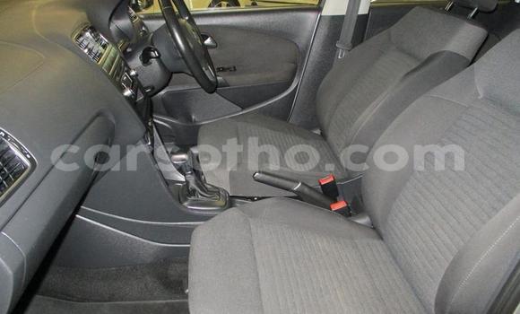 اشتري مستعمل Volkswagen Polo Silver سيارة في Butha Buthe في Butha-Buthe اشتري مستعمل Volkswagen Polo Silver سيارة في Butha Buthe في Butha-Buthe