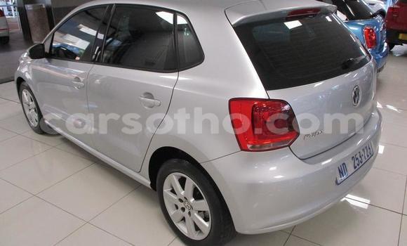 اشتري مستعمل Volkswagen Polo Silver سيارة في Butha Buthe في Butha-Buthe اشتري مستعمل Volkswagen Polo Silver سيارة في Butha Buthe في Butha-Buthe