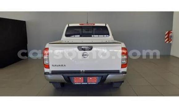اشتري مستعمل Isuzu KB White سيارة في Butha Buthe في Butha-Buthe اشتري مستعمل Isuzu KB White سيارة في Butha Buthe في Butha-Buthe