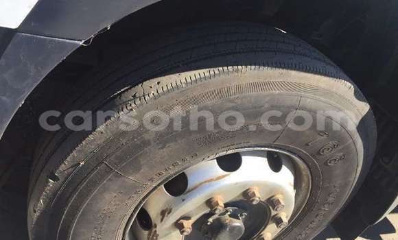 Buy Used Hino 300 Series Green Truck in Maputsoe in Leribe Buy Used Hino 300 Series Green Truck in Maputsoe in Leribe