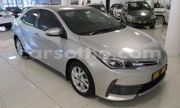 Buy Used Toyota Corolla Silver Car in Maseru in Maseru Buy Used Toyota Corolla Silver Car in Maseru in Maseru