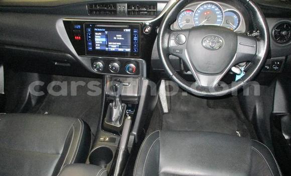 Buy Used Toyota Corolla Silver Car in Maseru in Maseru Buy Used Toyota Corolla Silver Car in Maseru in Maseru