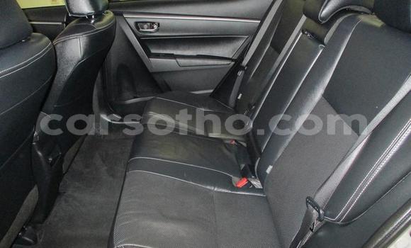 Buy Used Toyota Corolla Silver Car in Maseru in Maseru Buy Used Toyota Corolla Silver Car in Maseru in Maseru