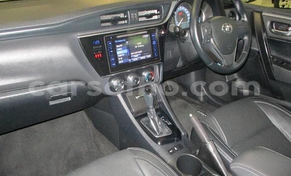 Buy Used Toyota Corolla Silver Car in Maseru in Maseru Buy Used Toyota Corolla Silver Car in Maseru in Maseru