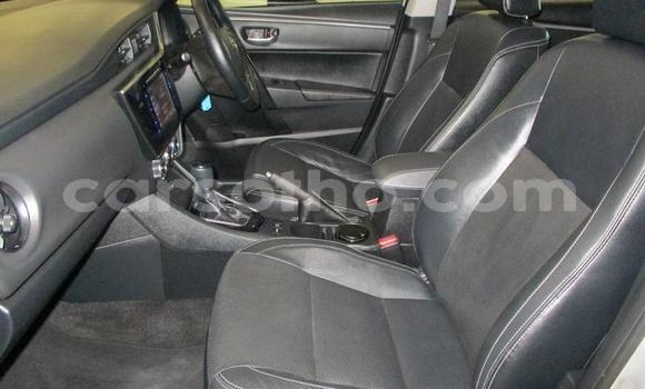 Buy Used Toyota Corolla Silver Car in Maseru in Maseru Buy Used Toyota Corolla Silver Car in Maseru in Maseru