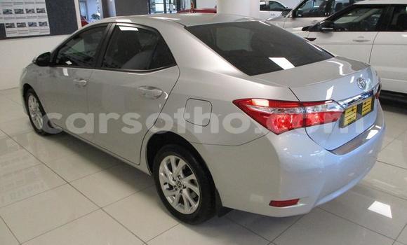 Buy Used Toyota Corolla Silver Car in Maseru in Maseru Buy Used Toyota Corolla Silver Car in Maseru in Maseru