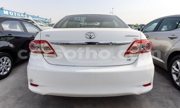 Sayi Imported Toyota Corolla White Mota in Import - Dubai a Maseru Sayi Imported Toyota Corolla White Mota in Import - Dubai a Maseru