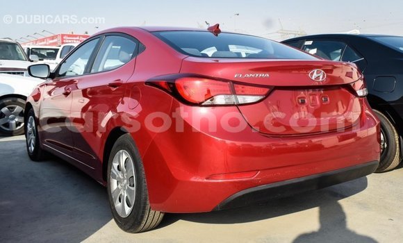 Buy Import Hyundai Elantra Red Car in Import - Dubai in Maseru Buy Import Hyundai Elantra Red Car in Import - Dubai in Maseru