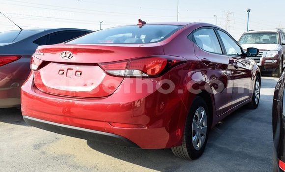 Buy Import Hyundai Elantra Red Car in Import - Dubai in Maseru Buy Import Hyundai Elantra Red Car in Import - Dubai in Maseru
