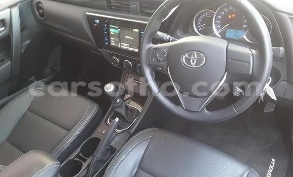 اشتري مستعمل Toyota Corolla Silver سيارة في Maseru في Maseru اشتري مستعمل Toyota Corolla Silver سيارة في Maseru في Maseru