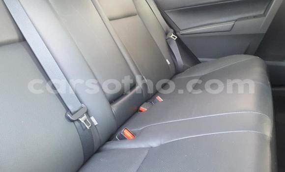 اشتري مستعمل Toyota Corolla Silver سيارة في Maseru في Maseru اشتري مستعمل Toyota Corolla Silver سيارة في Maseru في Maseru
