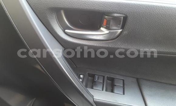 اشتري مستعمل Toyota Corolla Silver سيارة في Maseru في Maseru اشتري مستعمل Toyota Corolla Silver سيارة في Maseru في Maseru