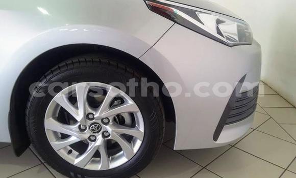 اشتري مستعمل Toyota Corolla Silver سيارة في Maseru في Maseru اشتري مستعمل Toyota Corolla Silver سيارة في Maseru في Maseru
