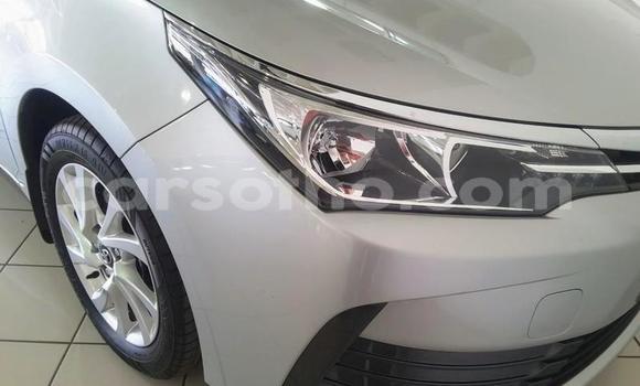 اشتري مستعمل Toyota Corolla Silver سيارة في Maseru في Maseru اشتري مستعمل Toyota Corolla Silver سيارة في Maseru في Maseru
