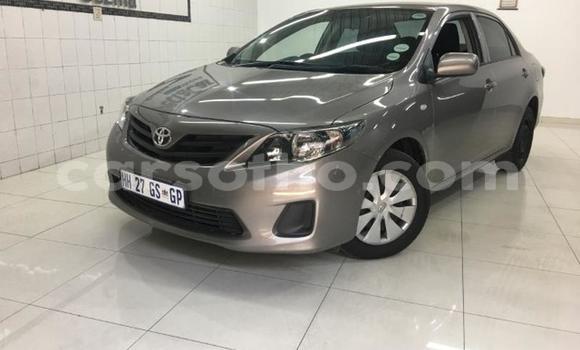 Buy Used Toyota Corolla Silver Car in Maseru in Maseru Buy Used Toyota Corolla Silver Car in Maseru in Maseru