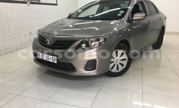 Buy Used Toyota Corolla Silver Car in Maseru in Maseru Buy Used Toyota Corolla Silver Car in Maseru in Maseru