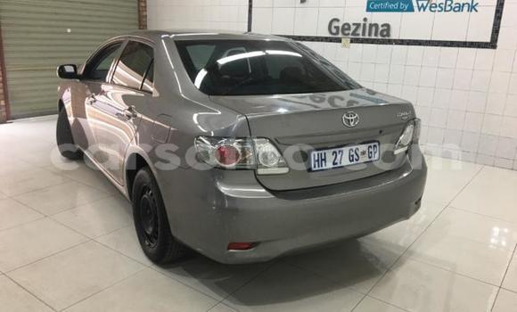 Buy Used Toyota Corolla Silver Car in Maseru in Maseru Buy Used Toyota Corolla Silver Car in Maseru in Maseru