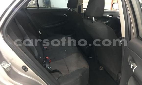 Buy Used Toyota Corolla Silver Car in Maseru in Maseru Buy Used Toyota Corolla Silver Car in Maseru in Maseru