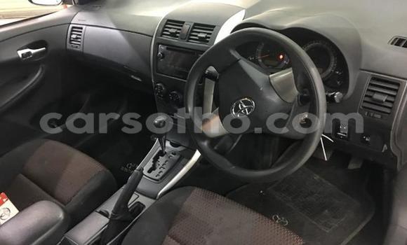 Buy Used Toyota Corolla Silver Car in Maseru in Maseru Buy Used Toyota Corolla Silver Car in Maseru in Maseru
